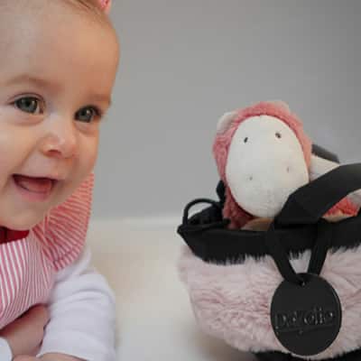DalZotto, 2 ans déjà !