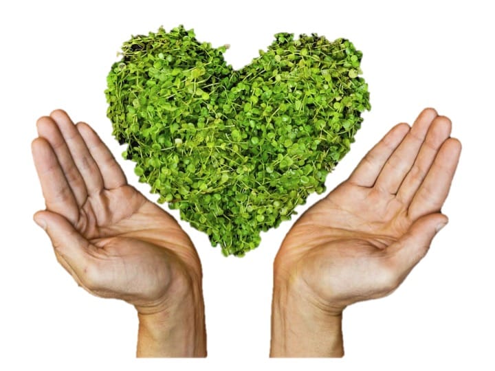 La mode peut-elle vraiment être green ?