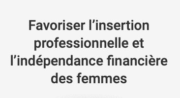 insertion professionnelle